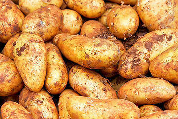 Image showing Potatoes with dirt