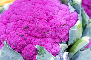 Image showing Purple cauliflowers