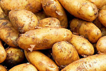 Image showing Sweet potato