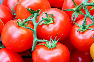 Image showing Tomato on vine