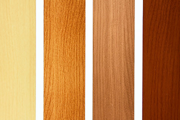 Image showing Maple color