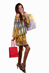 Image showing Fashionable shopper