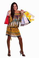 Image showing Fashionable shopper