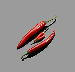 Image showing red chili peppers