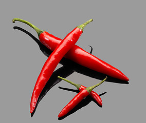 Image showing red chili peppers