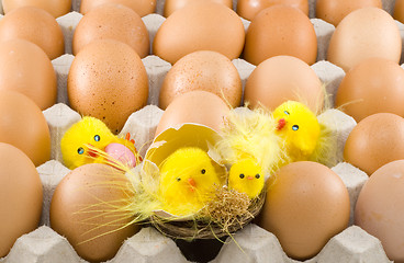 Image showing Easter Chickens