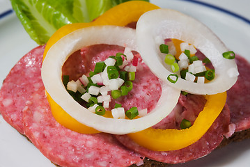 Image showing Salami sandwich