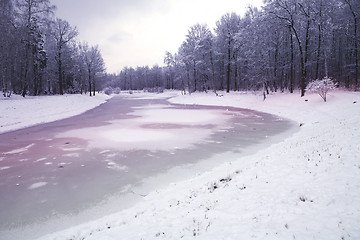 Image showing frozen lake