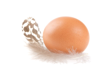 Image showing Egg, Feather