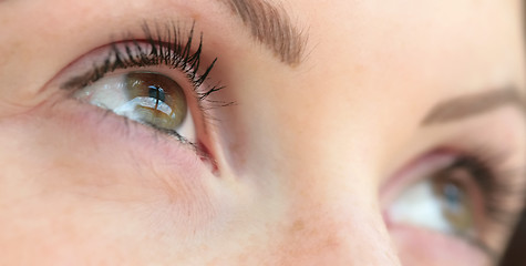 Image showing green eye, close-up