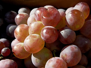 Image showing Grapes