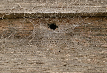 Image showing old wood background