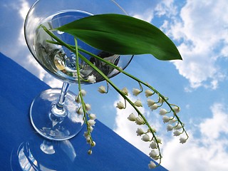 Image showing lily of the valley in glass over blue sky