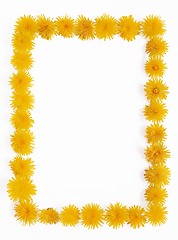 Image showing Dandelion - frame