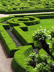 Image showing Park of castle - Czech republic Dobris