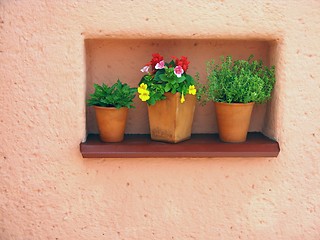 Image showing Orange wall and flowers