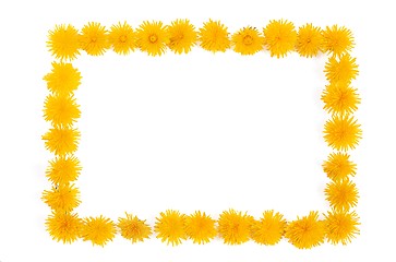 Image showing Dandelion - frame