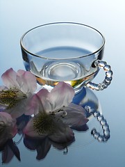 Image showing Rhododendron and glass pot