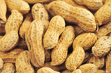 Image showing Peanuts