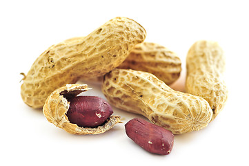 Image showing Peanuts and shells