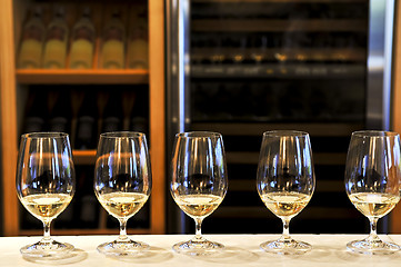 Image showing Wine tasting glasses