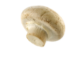 Image showing fresh champignon 