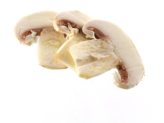 Image showing fresh champignon 