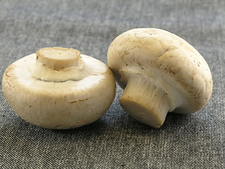 Image showing fresh champignon 