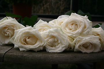 Image showing A bunch of roses