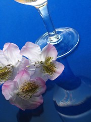 Image showing laurel and glass of water