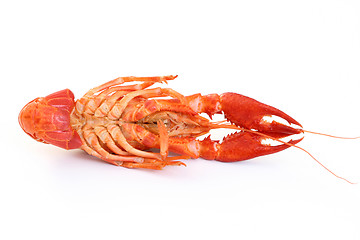 Image showing crawfish