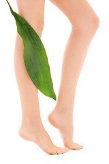 Image showing female legs with green leaf