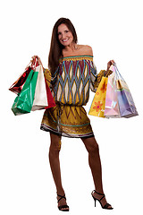 Image showing Fashionable shopper