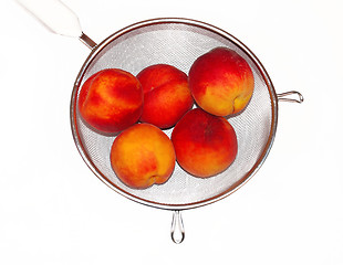 Image showing Peaches in colander isolated