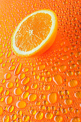 Image showing slice of juicy orange