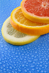 Image showing Slices od orange, lemon and grapefruit