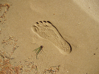 Image showing Footprint in the sand