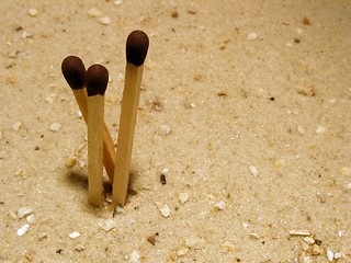 Image showing matches