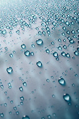 Image showing Water drops