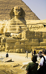 Image showing Sphinx