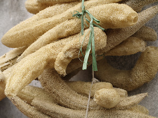 Image showing sponge