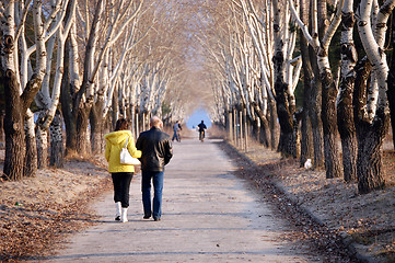 Image showing man and woman walking in park