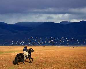 Image showing Cowboy