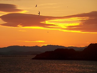 Image showing Late summer night at the fjord