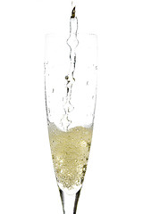 Image showing Champagne glass celebration