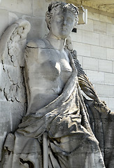 Image showing Woomen - Angel