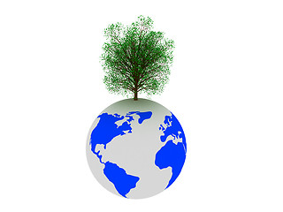 Image showing Tree on earth