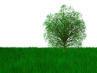 Image showing Green tree