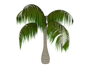 Image showing Palm 3d