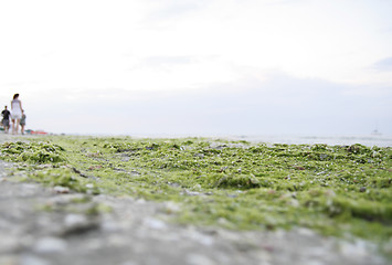 Image showing Summertime at the beach.